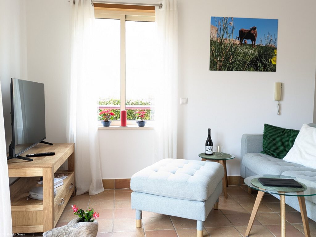 Living area with television
